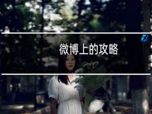 微博上的攻略