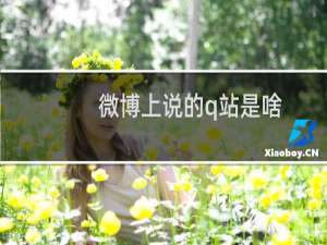微博上说的q站是啥（q站全名叫什么）什么梗