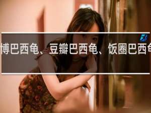 微博巴西龟、豆瓣巴西龟、饭圈巴西龟什么梗