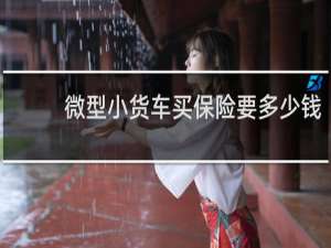 微型小货车买保险要多少钱