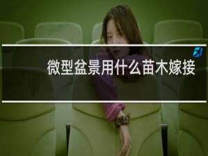 微型盆景用什么苗木嫁接