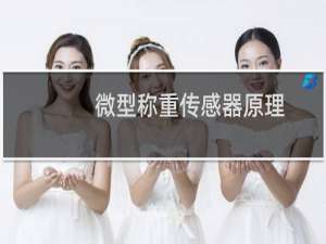 微型称重传感器原理