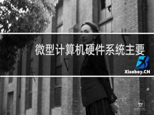 微型计算机硬件系统主要包括什么