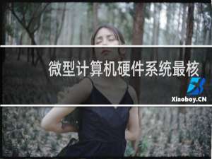 微型计算机硬件系统最核心