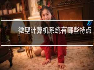 微型计算机系统有哪些特点