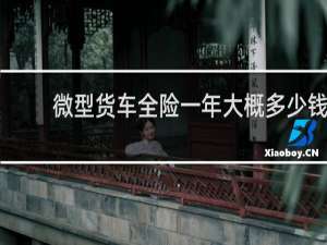 微型货车全险一年大概多少钱