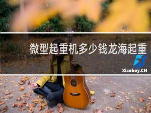 微型起重机多少钱龙海起重