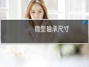 微型轴承尺寸