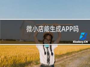 微小店能生成APP吗-其他问题