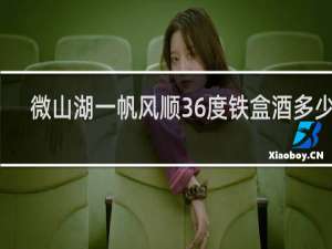 微山湖一帆风顺36度铁盒酒多少钱