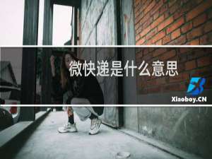 微快递是什么意思