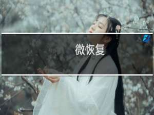 【微恢复】免费微恢复软件下载