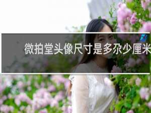 微拍堂头像尺寸是多少厘米
