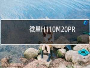 微星H110M PRO VD主板机箱接法图解