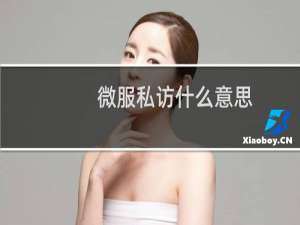 微服私访什么意思