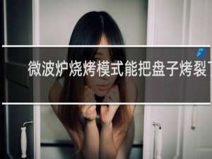 微波炉烧烤模式能把盘子烤裂了