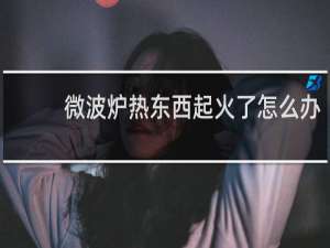 微波炉热东西起火了怎么办