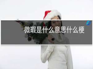 微瑕是什么意思什么梗