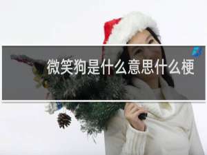 微笑狗是什么意思什么梗