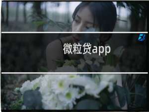 微粒贷app（微粒贷app）