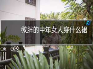 微胖的中年女人穿什么裙子
