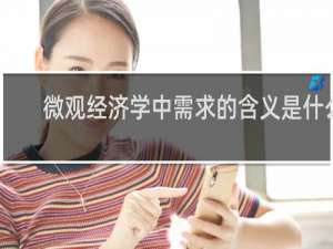 微观经济学中需求的含义是什么