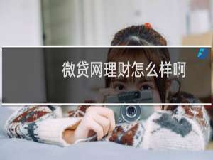 微贷网理财怎么样啊