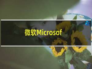 微软Microsoft Edge强制在Windows10中安装OfficeWebApps