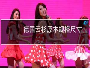 德国云杉原木规格尺寸