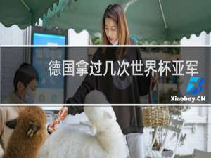 德国拿过几次世界杯亚军