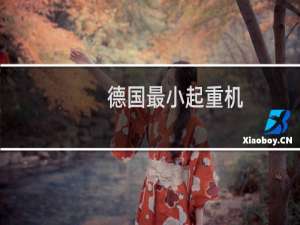 德国最小起重机