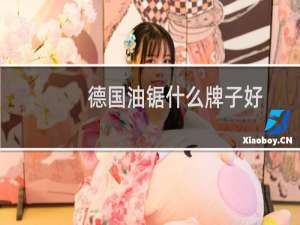 德国油锯什么牌子好