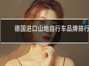 德国进口山地自行车品牌排行