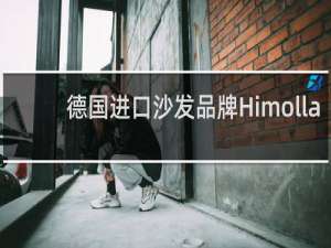 德国进口沙发品牌Himolla