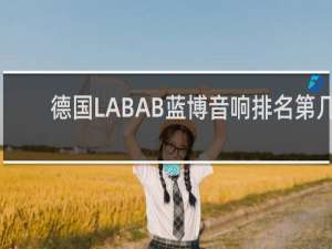 德国LABAB蓝博音响排名第几