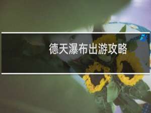 德天瀑布出游攻略