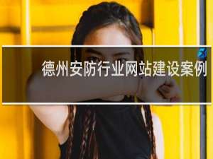 德州安防行业网站建设案例