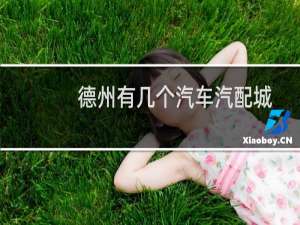 德州有几个汽车汽配城