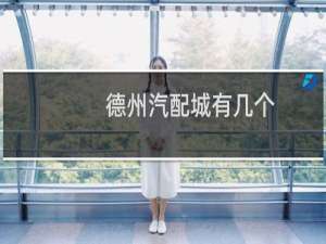 德州汽配城有几个