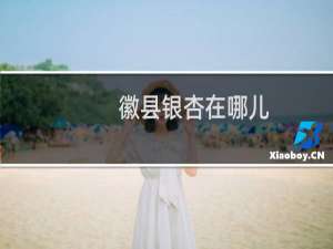 徽县银杏在哪儿
