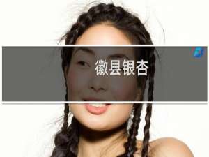 徽县银杏