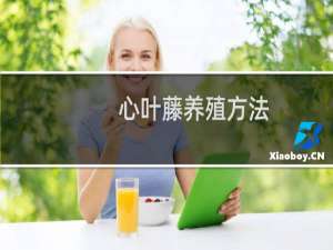 心叶藤养殖方法