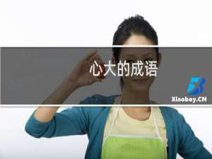 心大的成语