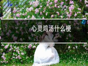 心灵鸡汤什么梗？心灵鸡汤是什么意思什么梗