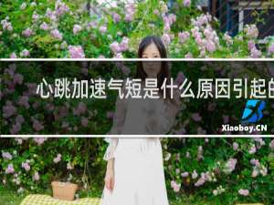 心跳加速气短是什么原因引起的