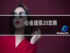 心金魂银 攻略