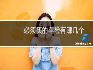 必须买的车险有哪几个