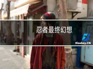 忍者最终幻想