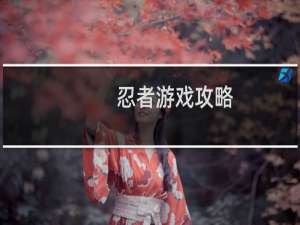 忍者游戏攻略