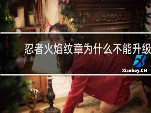 忍者火焰纹章为什么不能升级